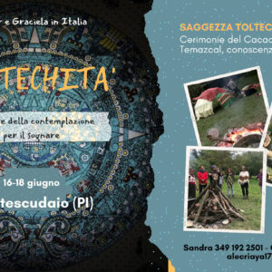 TOLTECHITA'